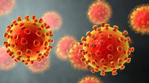 ¿Qué significa la mutación de un virus y cómo nos defendemos de ellos?