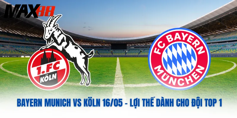 Bayern Munich Vs Köln 16/05 – Lợi Thế Dành Cho Đội Top 1